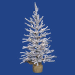 Vickerman B165225LED 24" Flocked Angel Pine Artificial Christmas Tree Warm White Dura-Lit Led Lights