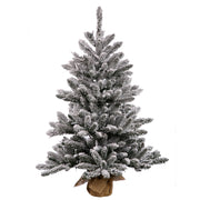 Vickerman B160536 36