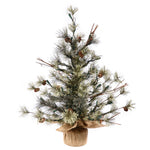 Vickerman B165424 24" Dakota Pine Artificial Christmas Tree Unlit