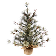 Vickerman B165424 24