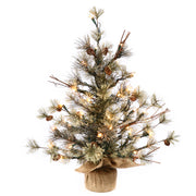 Vickerman B165425LED 24