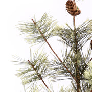 Vickerman B165531LED 30