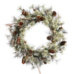 Vickerman B165524 24" Dakota Artificial Christmas Wreath Unlit