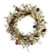 Vickerman B165531LED 30