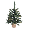 Vickerman B160425LED 24" Anoka Pine Artificial Christmas Tree Warm White Dura-Lit Led Lights