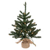 Vickerman B160425 24" Anoka Pine Artificial Christmas Tree Clear Dura-Lit Lights