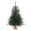 Vickerman B160442 42" Anoka Pine Artificial Christmas Tree Unlit