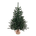 Vickerman B160442 42" Anoka Pine Artificial Christmas Tree Unlit