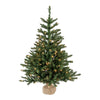 Vickerman B160443 42" Anoka Pine Artificial Christmas Tree Clear Dura-Lit Lights