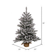 Vickerman B160536 36