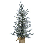 Vickerman B165125LED 24" Frosted Angel Pine Artificial Christmas Tree Warm White Dura-Lit Led Lights