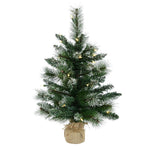 Vickerman B166425LED 2' Snow Tipped Mixed Pine Artificial Christmas Tree Warm White Dura-Lit Led Lights