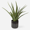 Uttermost – Tucson Aloe Planter, 17x19x17 in, Black & Green Ceramic, Textured Modern Style