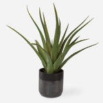 Uttermost Tucson Aloe Planter, 17"W x 19"H, Black and Green Ceramic, Textured Matte and Gloss Finish, Modern Tabletop Decor