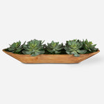 Uttermost 60205 Yuma Succulent Centerpiece in Natural Teak Bowl
