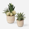Uttermost 60208 Seaside Succulents Set of 2 in Textured Neutral Ceramic Planters