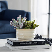 Rustic Ceramic Pot with Faux Succulent