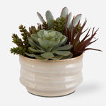 Uttermost 60209 Mesa Succulent Accent in Textured Tan Glazed Ceramic Pot