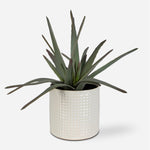 Uttermost 60210 Taos Aloe Centerpiece in Ivory Beige Glazed Dimpled Ceramic Container