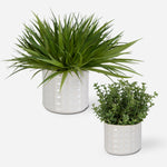 Uttermost 60211 Edgewood Greenery Set of 2 in White Glazed Ceramic with Variegated Grass