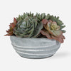 Uttermost 60212 Peoria Succulent Accent in Textured Concrete Planter