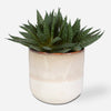 Uttermost 60213 Doha Succulent Accent in Ombre Glazed Ceramic Pot