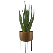 Uttermost – Arabia Aloe Planter 37