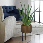 Uttermost – Arabia Aloe Faux Plant 37