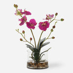 Uttermost 60220 Glory Fuchsia Orchid Faux Floral Arrangement