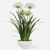 Uttermost 60221 Purity Agapanthus Centerpiece in Gloss White Ceramic Planter