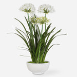 Uttermost 60221 Purity Agapanthus Centerpiece in Gloss White Ceramic Planter