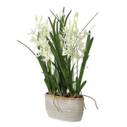 Uttermost 60227 Ariana Orchid Planter with Cream Cymbidium in Textured Tan Ceramic Pot