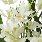 Uttermost 60227 Ariana Orchid Planter with Cream Cymbidium in Textured Tan Ceramic Pot