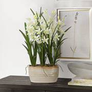 Uttermost 60227 Ariana Orchid Planter with Cream Cymbidium in Textured Tan Ceramic Pot