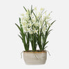 Uttermost 60227 Ariana Orchid Planter with Cream Cymbidium in Textured Tan Ceramic Pot