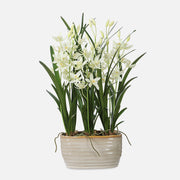 Uttermost 60227 Ariana Orchid Planter with Cream Cymbidium in Textured Tan Ceramic Pot