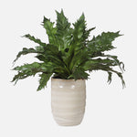 Uttermost 60229 Verdure Fern in Textured Tan Glazed Ceramic Pot with Lush Green Bird's Nest Foliage