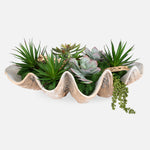 Uttermost 60233 Seaside Breeze Succulents Arrangement in Clam Shell Bowl