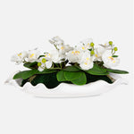 Uttermost Opulence White Orchid Centerpiece with Moss in Curved Matte White Ceramic Bowl