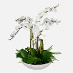 Uttermost Flourish White Real-Touch Orchid Arrangement in Faux Thassos Marble Bowl – 36" Tall Centerpiece with Fern and Moss Accents