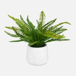 Uttermost 60238 Boston Fern in White Ceramic Pot with Variegated Green Foliage