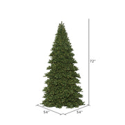 Vickerman C164206LEDWW 6' X 54