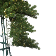 Vickerman C164206LEDWW 6' X 54