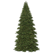 Vickerman C164206LEDWW 6' X 54