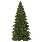 Vickerman C164218LEDWW 18' X 96" Oregon Fir Artificial Christmas Frame Tree Warm White Dura-Lit LED Lights
