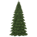 Vickerman C164216 16' X 90" Oregon Fir  Artificial Christmas Frame Tree Unlit