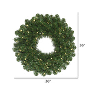 Vickerman C164637LED 36
