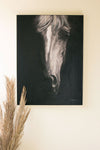 Black and white horse acrylic painting