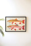 Framed two fish canvas painting