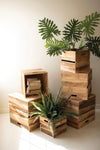 Set of six recycled pine display cubes by Kalalou